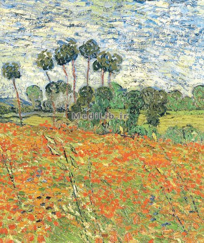 Studyguide for Raven Biology of Plants by Ray F. Evert, ISBN 9781429219617