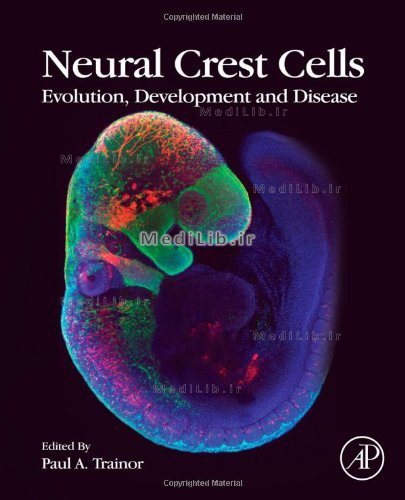 Neural Crest Cells