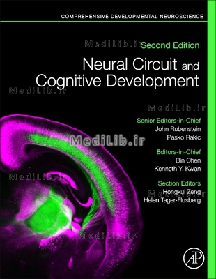 Neural Circuit and Cognitive Development: Comprehensive Developmental Neuroscience (2nd edition)