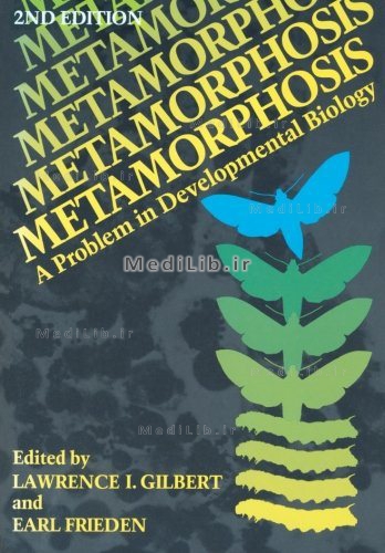 Metamorphosis